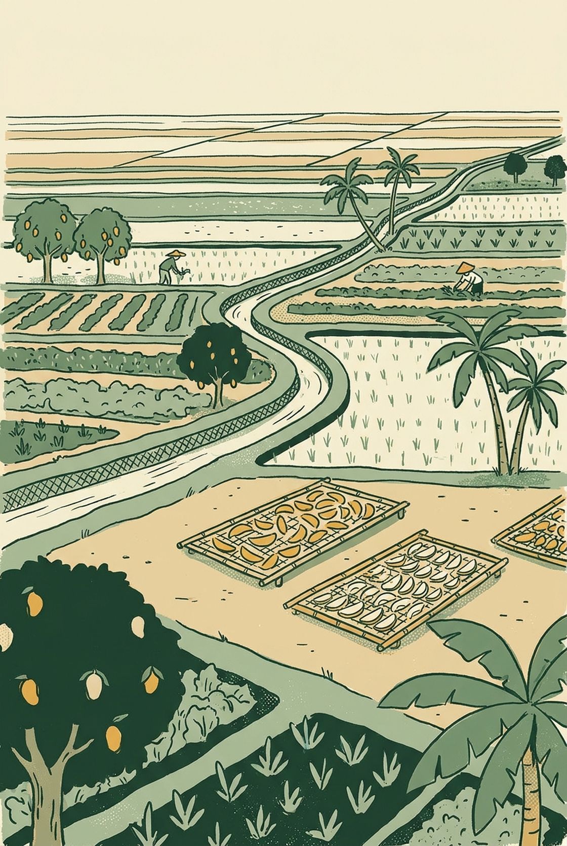 Illustration of the Chuadanga agricultural landscape — rice paddy and vegetable plots, mango and palm trees, an irrigation channel, and bamboo trays of fruit drying in the open air.